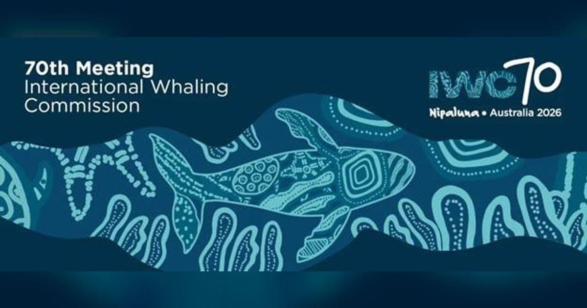 India Backs Science-Led Whale Conservation at IWC-70 in Hobart