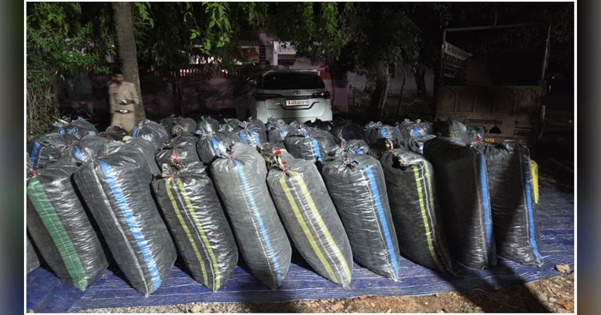 CBN Rajasthan Seizes 3,937 kg Poppy Straw in Anti-Drug Drives