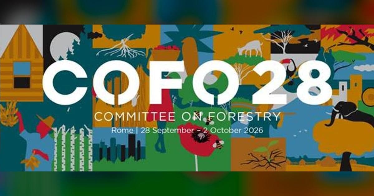 India Showcases Forest Restoration Work at COFO 28 in Rome