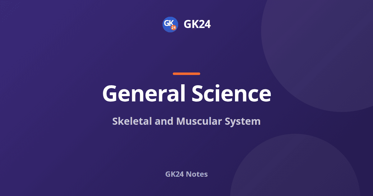 Skeletal and Muscular System: Bones, Joints, Muscles — GK24 title card