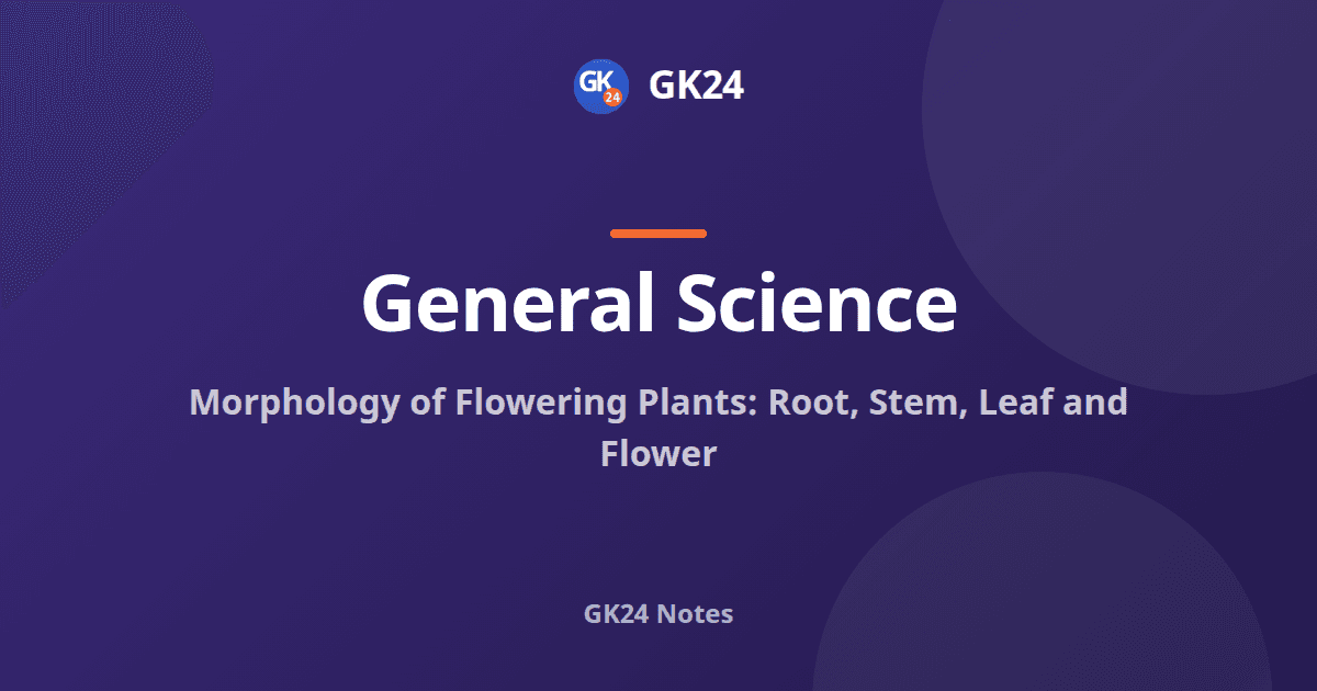 Morphology of Flowering Plants: Root, Stem and Flower — GK24 title card